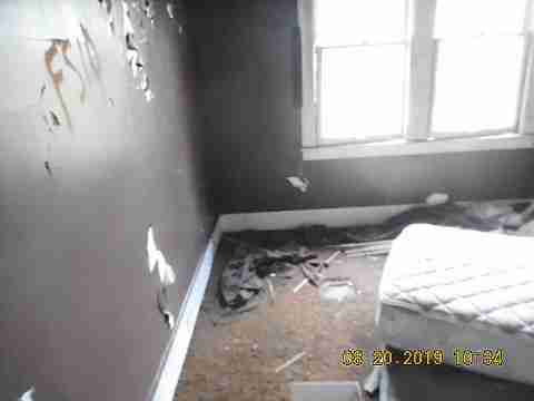 7544 Hafeli (21)_m.jpg